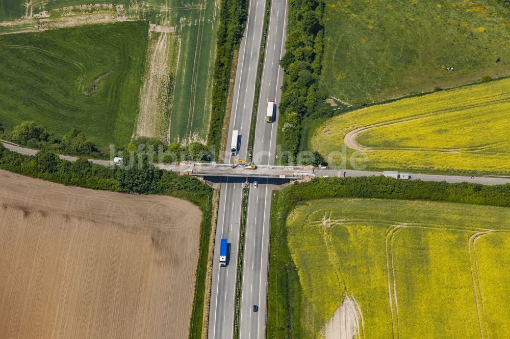 Luftaufnahme Damlos - Baustelle zu Sanierungsarbeiten am Straßen- Brückenbauwerk Hohelieth - Sebent über die Autobahn A1 in Damlos im Bundesland Schleswig-Holstein, Deutschland