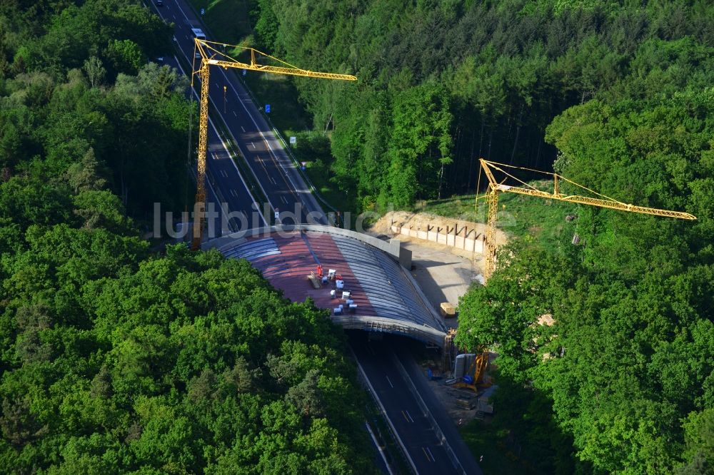 Luftbild Warnitz - Baustelle zum Neubau eines Brückenbauwerkes über die BAB Autobahn A11 am Abzweig in Warnitz in der Uckermark im Bundesland Brandenburg