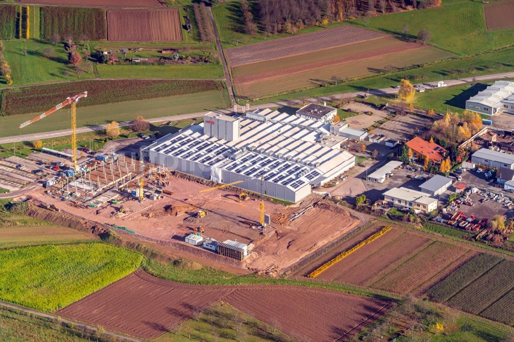 Luftbild Ohlsbach - Baustelle zum Neubau Firmengelände der WTO in Ohlsbach im Bundesland Baden-Württemberg, Deutschland