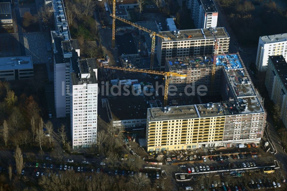 Berlin von oben - Baustelle zum Neubau einer Mehrfamilienhaus-Wohnanlage Dolgensee-Center Lichtenberg in Berlin, Deutschland