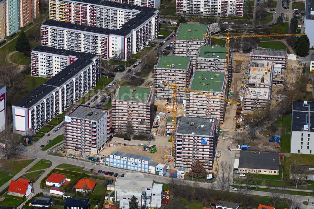Berlin von oben - Baustelle zum Neubau einer Mehrfamilienhaus-Wohnanlage an der Karl-Holtz-Straße im Ortsteil Marzahn in Berlin, Deutschland