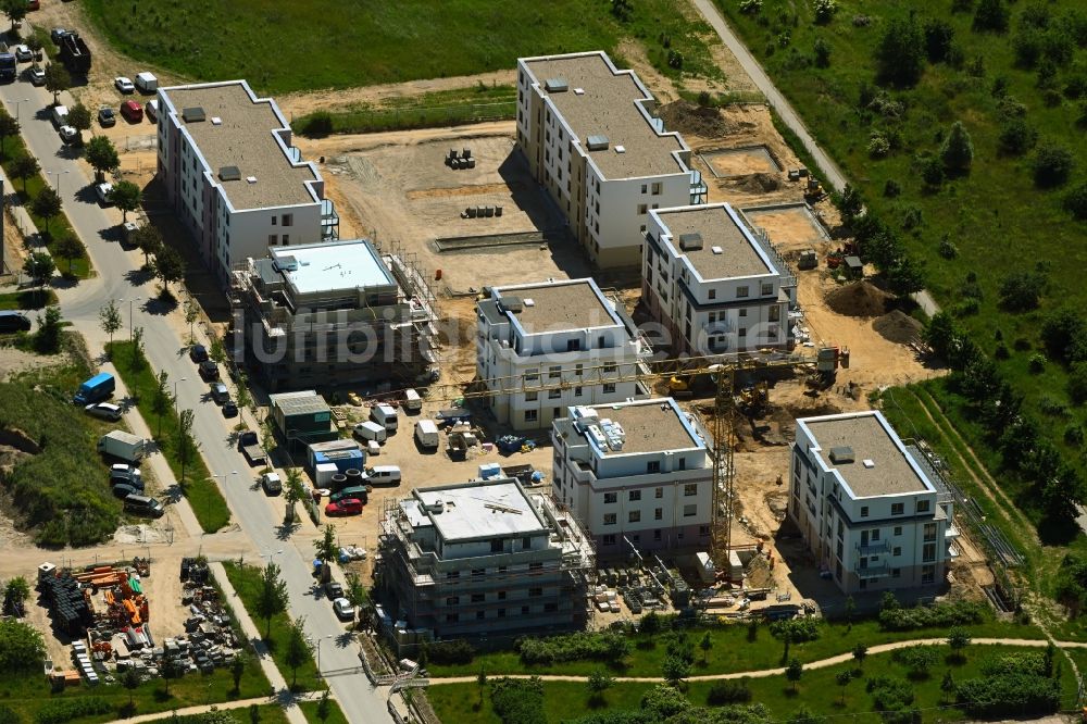 Luftbild Schönefeld - Baustelle zum Neubau einer Mehrfamilienhaus-Wohnanlage Neue Mitte in Schönefeld im Bundesland Brandenburg, Deutschland