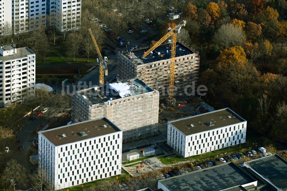 Berlin von oben - Baustelle zum Neubau einer Mehrfamilienhaus-Wohnanlage im Ortsteil Märkisches Viertel in Berlin, Deutschland