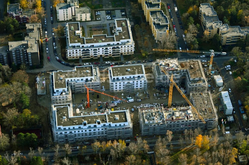 Berlin aus der Vogelperspektive: Baustelle zum Neubau einer Mehrfamilienhaus-Wohnanlage im Ortsteil Wittenau in Berlin, Deutschland