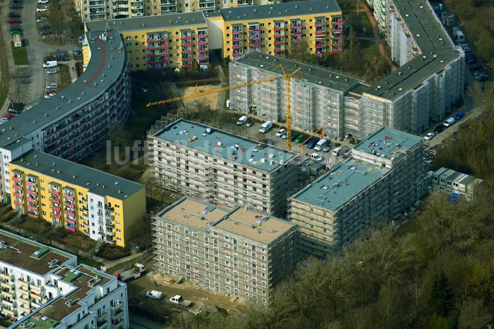 Berlin von oben - Baustelle zum Neubau einer Mehrfamilienhaus-Wohnanlage Schwarzheider Straße im Ortsteil Hellersdorf in Berlin, Deutschland