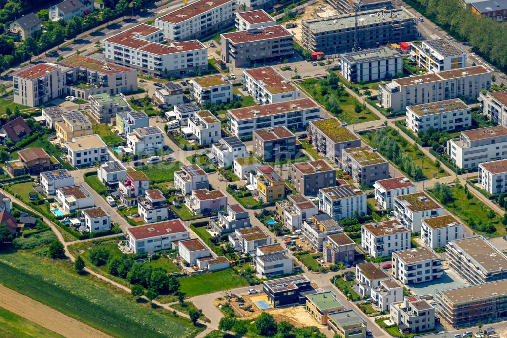 Luftbild Offenburg - Baustelle zum Neubau einer Mehrfamilienhaus-Wohnanlage Im Seidenfaden in Offenburg im Bundesland Baden-Württemberg, Deutschland