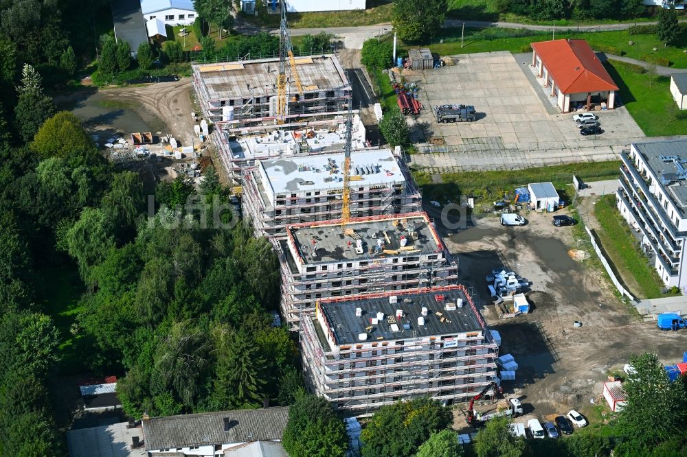 Luftaufnahme Bernau - Baustelle zum Neubau einer Mehrfamilienhaus-Wohnanlage An der Viehtrift in Bernau im Bundesland Brandenburg, Deutschland