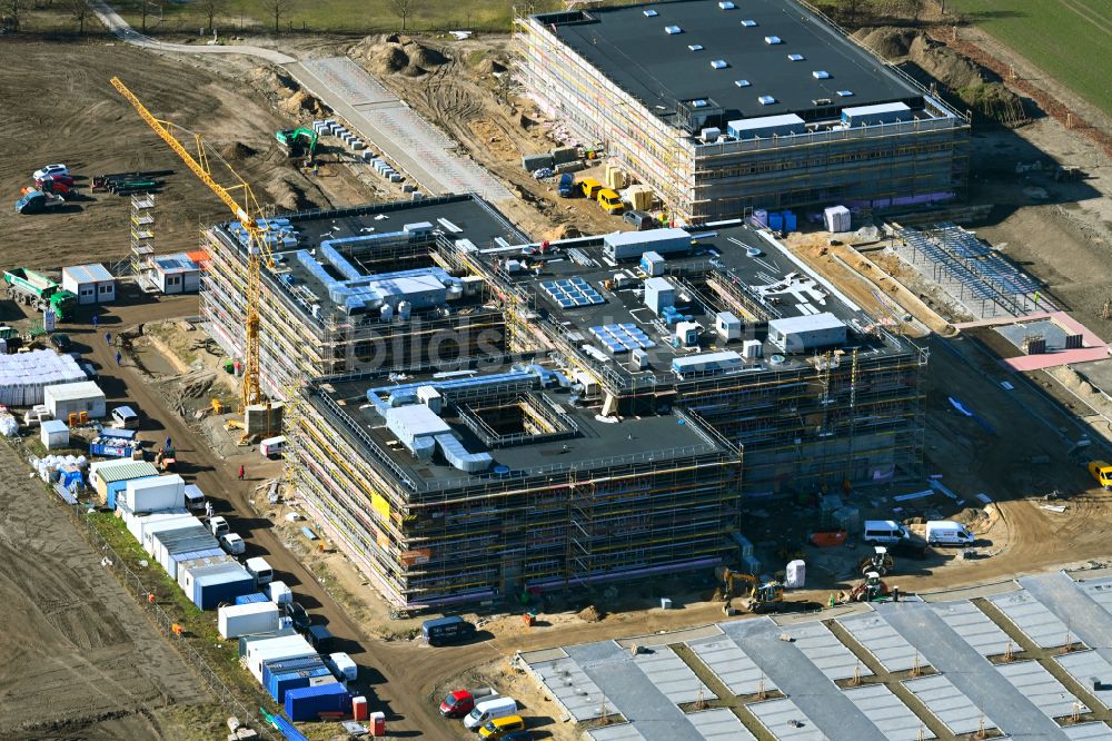 Luftbild Altlandsberg - Baustelle zum Neubau des Schulgebäudes Neuer Schulcampus in Altlandsberg im Bundesland Brandenburg, Deutschland
