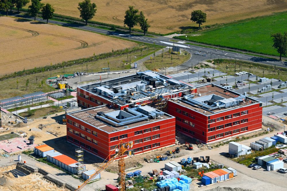 Luftbild Altlandsberg - Baustelle zum Neubau des Schulgebäudes Neuer Schulcampus in Altlandsberg im Bundesland Brandenburg, Deutschland