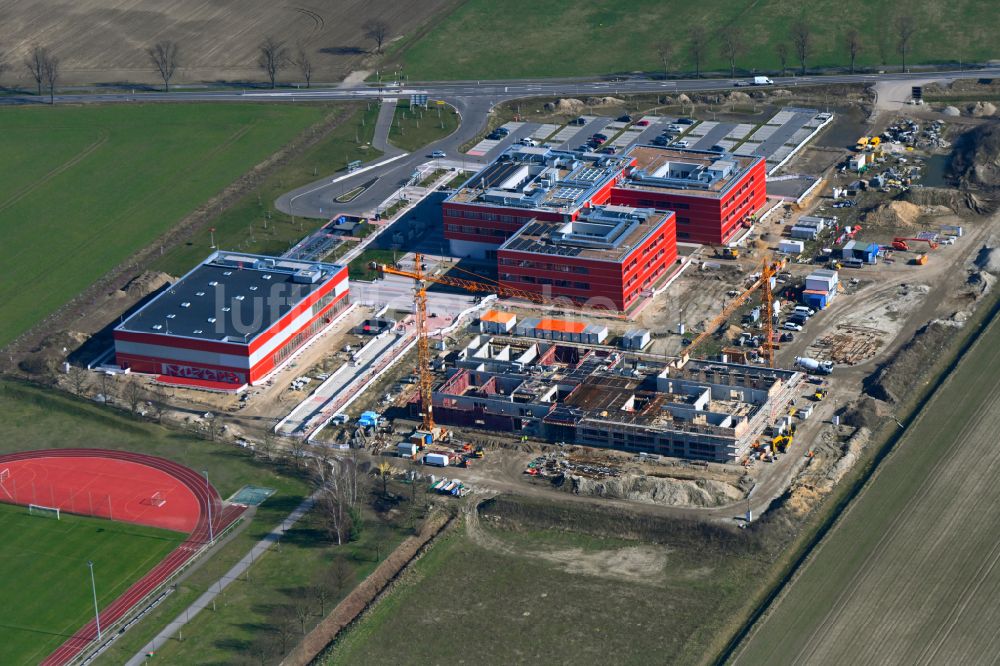 Altlandsberg von oben - Baustelle zum Neubau des Schulgebäudes Neuer Schulcampus in Altlandsberg im Bundesland Brandenburg, Deutschland