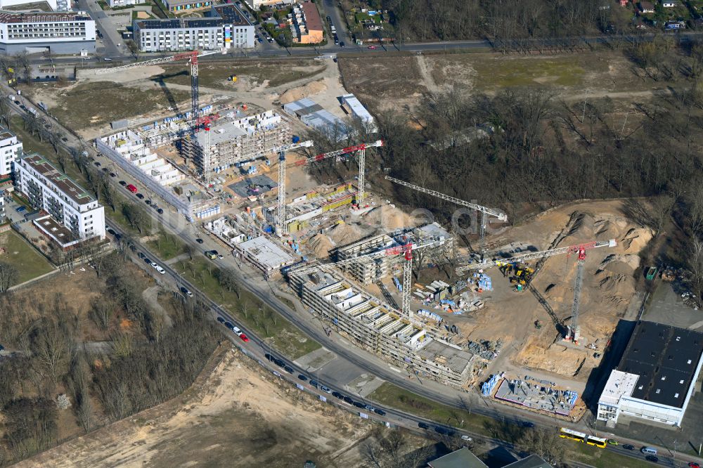 Luftaufnahme Berlin - Baustelle zum Neubau eines Schulgebäudes im Ortsteil Haselhorst in Spandau in Berlin, Deutschland