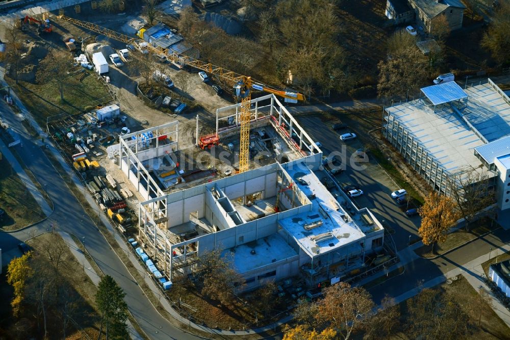 Luftbild Potsdam - Baustelle zum Neubau der Sporthalle an der Ecke Olympischer Weg in Potsdam im Bundesland Brandenburg, Deutschland