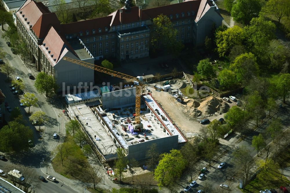 Luftaufnahme Berlin - Baustelle zum Neubau der Sporthalle am Lily-Braun-Gymnasium im Ortsteil Spandau in Berlin, Deutschland