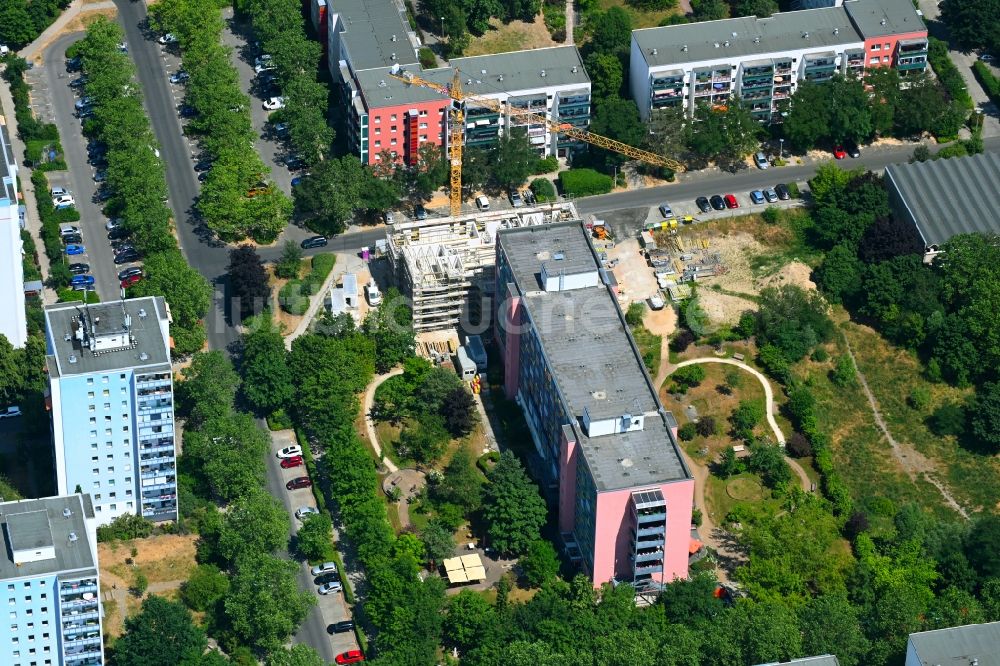 Luftbild Berlin - Baustelle zum Neubau eines Wohnheim Wohnpflegeheim - Gebäude Wohnpark am Cecilienplatz im Ortsteil Kaulsdorf in Berlin, Deutschland