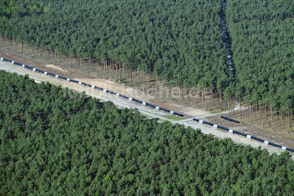 Groß Köris von oben - Baustelle zur Verlegung von Leitungs- Rohren der EUGAL Trasse in einem Wald bei Groß Köris im Bundesland Brandenburg, Deutschland