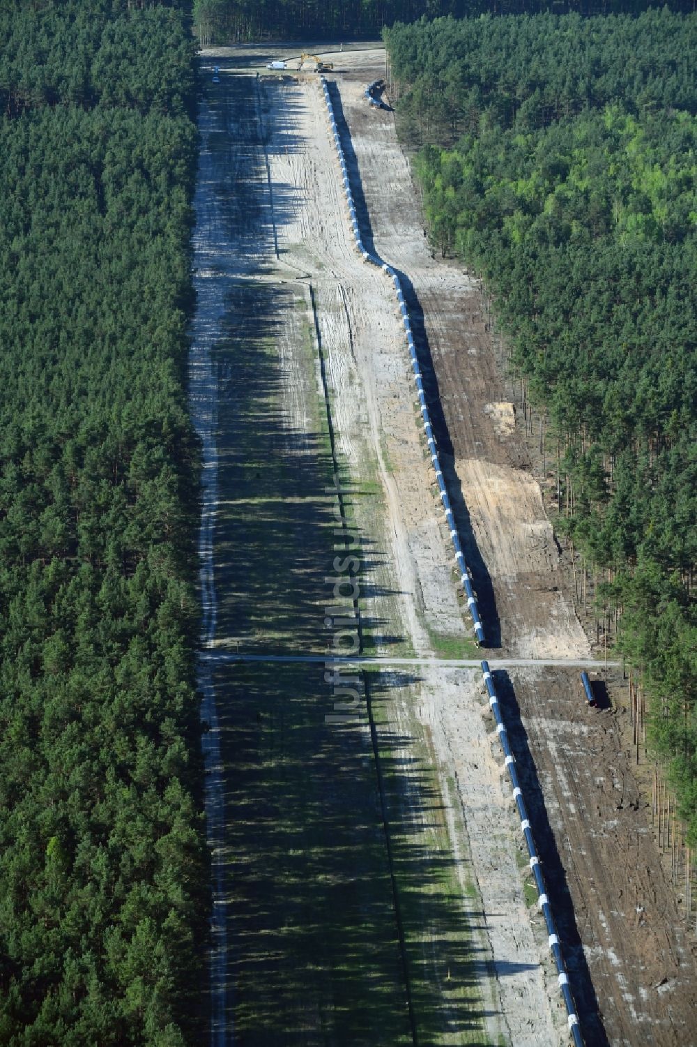 Luftaufnahme Groß Köris - Baustelle zur Verlegung von Leitungs- Rohren der EUGAL Trasse in einem Wald bei Groß Köris im Bundesland Brandenburg, Deutschland