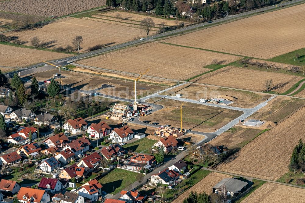 Luftbild Mahlberg - Baustellen zum Neubau- Wohngebiet einer Einfamilienhaus- Siedlung Orschweier Nord in Mahlberg im Bundesland Baden-Württemberg, Deutschland
