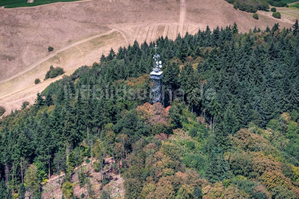 Luftaufnahme Eichstetten am Kaiserstuhl - Bauwerk des Aussichtsturmes Eichelspitzturm in Eichstetten am Kaiserstuhl im Bundesland Baden-Württemberg, Deutschland