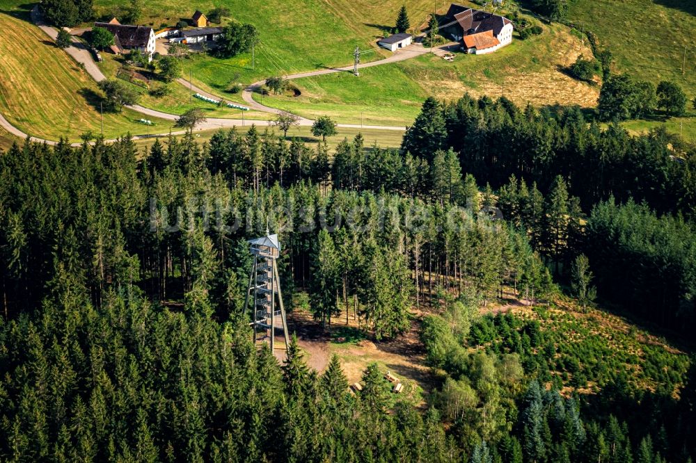 Luftaufnahme Freiamt - Bauwerk des Aussichtsturmes am Hünersedel in Freiamt im Bundesland Baden-Württemberg, Deutschland
