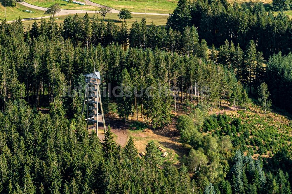 Freiamt aus der Vogelperspektive: Bauwerk des Aussichtsturmes am Hünersedel in Freiamt im Bundesland Baden-Württemberg, Deutschland