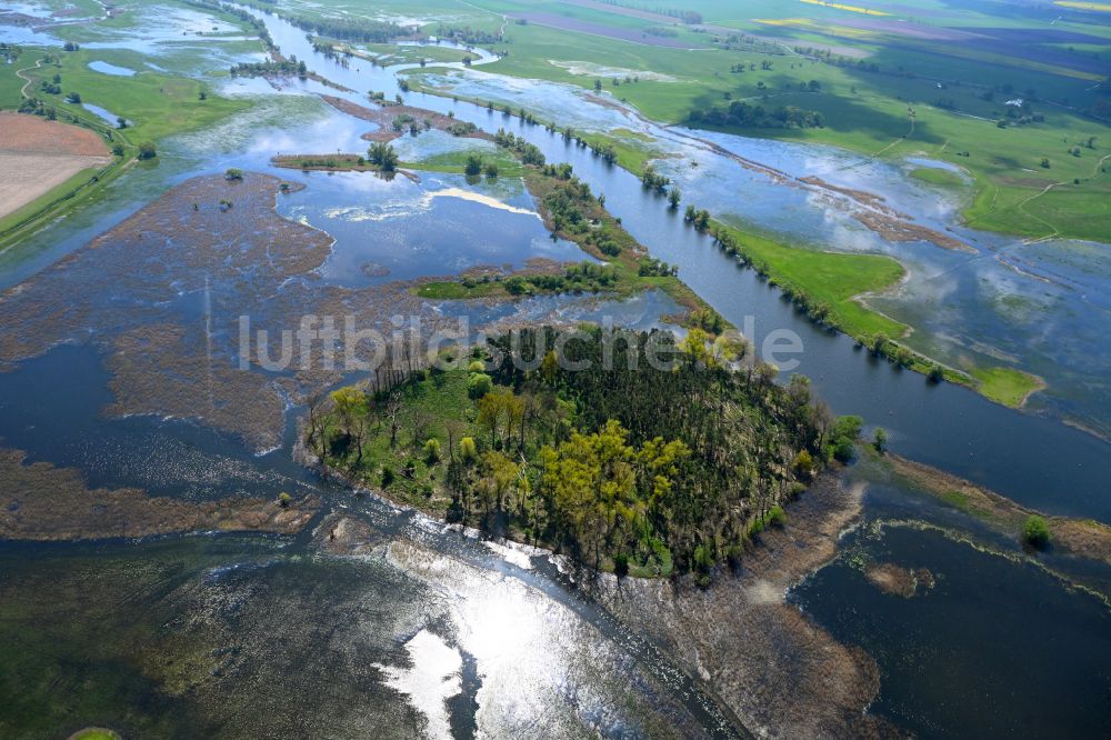 Jederitz von oben - Überflutete Flutungswiesen am Hochwasser- Pegel führenden Flußbett der Havel in Jederitz im Bundesland Sachsen-Anhalt, Deutschland