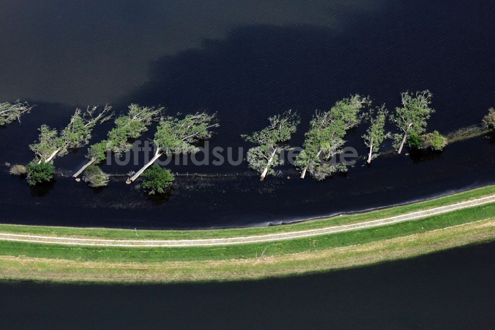 Luftbild Havelberg - Überflutete Flutungswiesen am Hochwasser- Pegel führenden Flußbett der Unteren Havel in Havelberg im Bundesland Sachsen-Anhalt, Deutschland