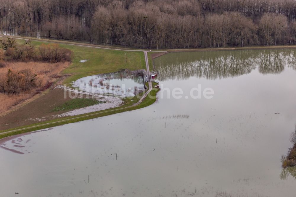 Luftaufnahme Neupotz - Überflutete Flutungswiesen des Polder Neupotz am Hochwasser- Pegel führenden Flußbett des Rhein in Neupotz im Bundesland Rheinland-Pfalz, Deutschland