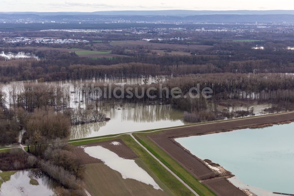 Luftbild Neupotz - Überflutete Flutungswiesen des Polder Neupotz am Hochwasser- Pegel führenden Flußbett des Rhein in Neupotz im Bundesland Rheinland-Pfalz, Deutschland