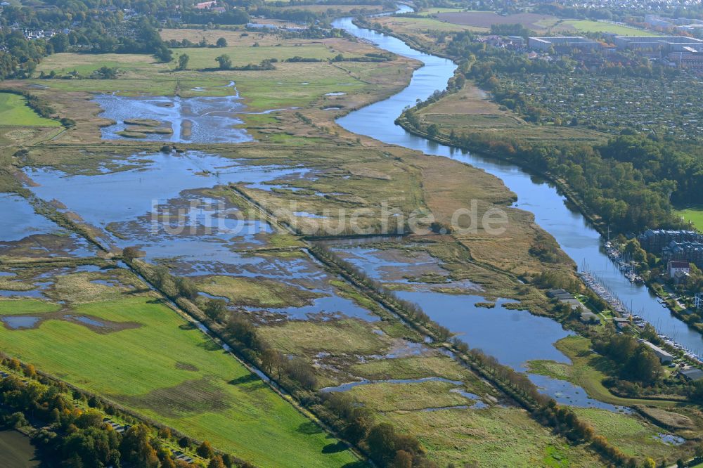 Luftaufnahme Hansestadt Greifswald - Überflutete Poderwiesen Eisenhammer am Fluss Ryck in Hansestadt Greifswald im Bundesland Mecklenburg-Vorpommern, Deutschland