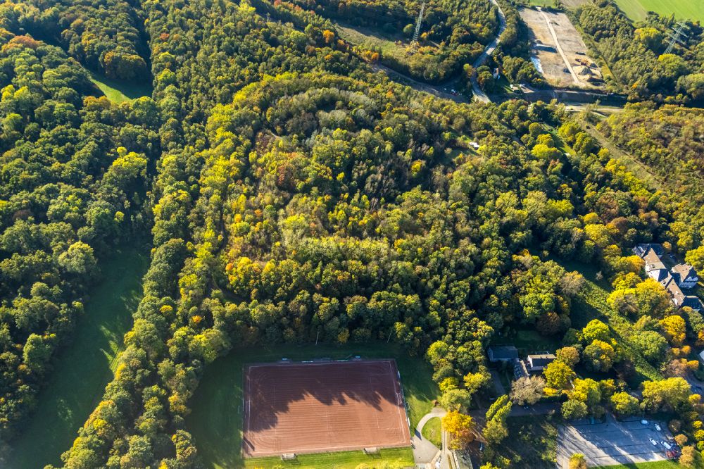 Luftaufnahme Gladbeck - Bergbau- Abraumhalde der Halde 19 mit Waldfläche entlang der Brauckstraße in Gladbeck im Bundesland Nordrhein-Westfalen, Deutschland