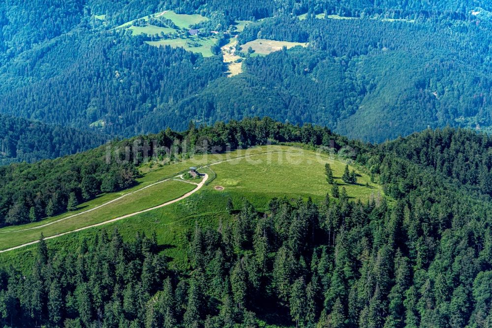 Waldkirch aus der Vogelperspektive: Berglandschaft Berggipfel des Kandel in Waldkirch im Bundesland Baden-Württemberg, Deutschland