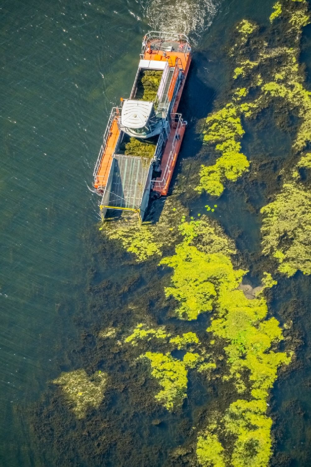 Herbede aus der Vogelperspektive: Bergung von Algen auf der Wasseroberfläche des Kemnader See in Herbede im Bundesland Nordrhein-Westfalen, Deutschland