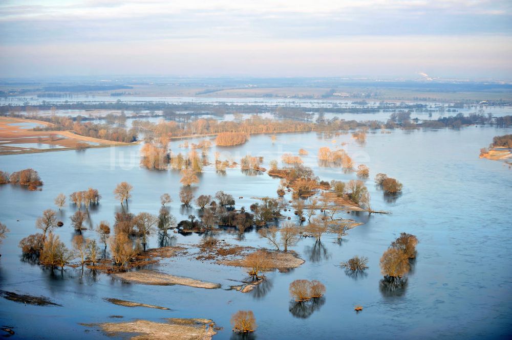 Luftbild Jerichow - Überschwemmte Felder an der Elbe bei Jerichow in Sachsen-Anhalt