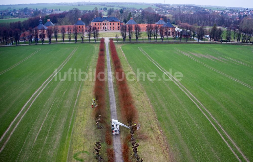 Luftbild Klütz - Beschnitt einer Baumreihe an einem Feldrand in Klütz im Bundesland Mecklenburg-Vorpommern, Deutschland