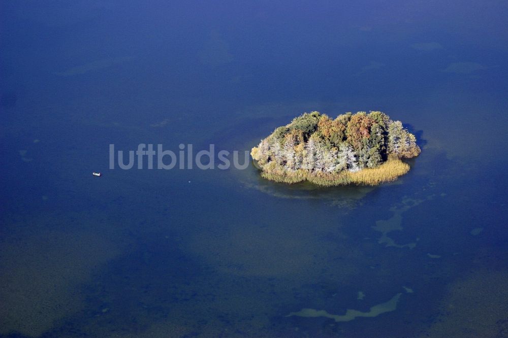 Luftbild Angermünde - Bewaldete See- Insel auf dem Parsteiner See in Angermünde im Bundesland Brandenburg