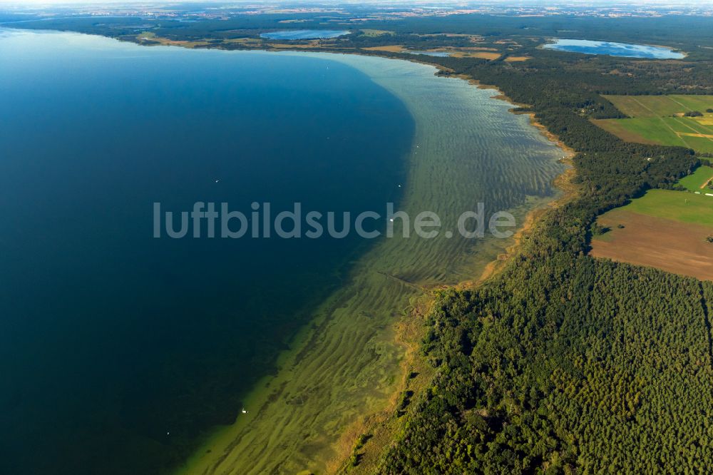 Luftbild Boeker Mühle - Bewaldete und seichte Uferbereiche der Müritz bei Boeker Mühle im Bundesland Mecklenburg-Vorpommern