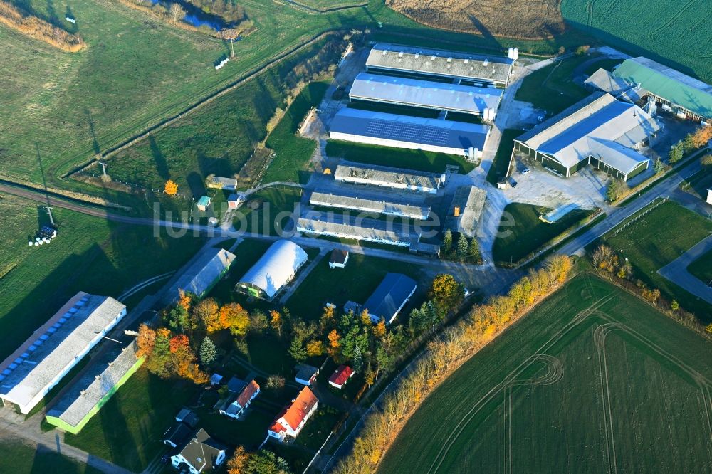 Luftbild Deyelsdorf - Biogasspeicher- Behälter im Biogaspark in Deyelsdorf im Bundesland Mecklenburg-Vorpommern, Deutschland