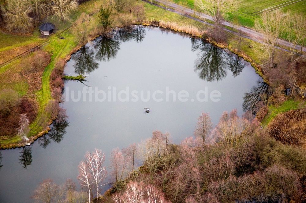 Luftaufnahme Steinfeld - Biotop Teichanlagen im Winter in Steinfeld im Bundesland Rheinland-Pfalz