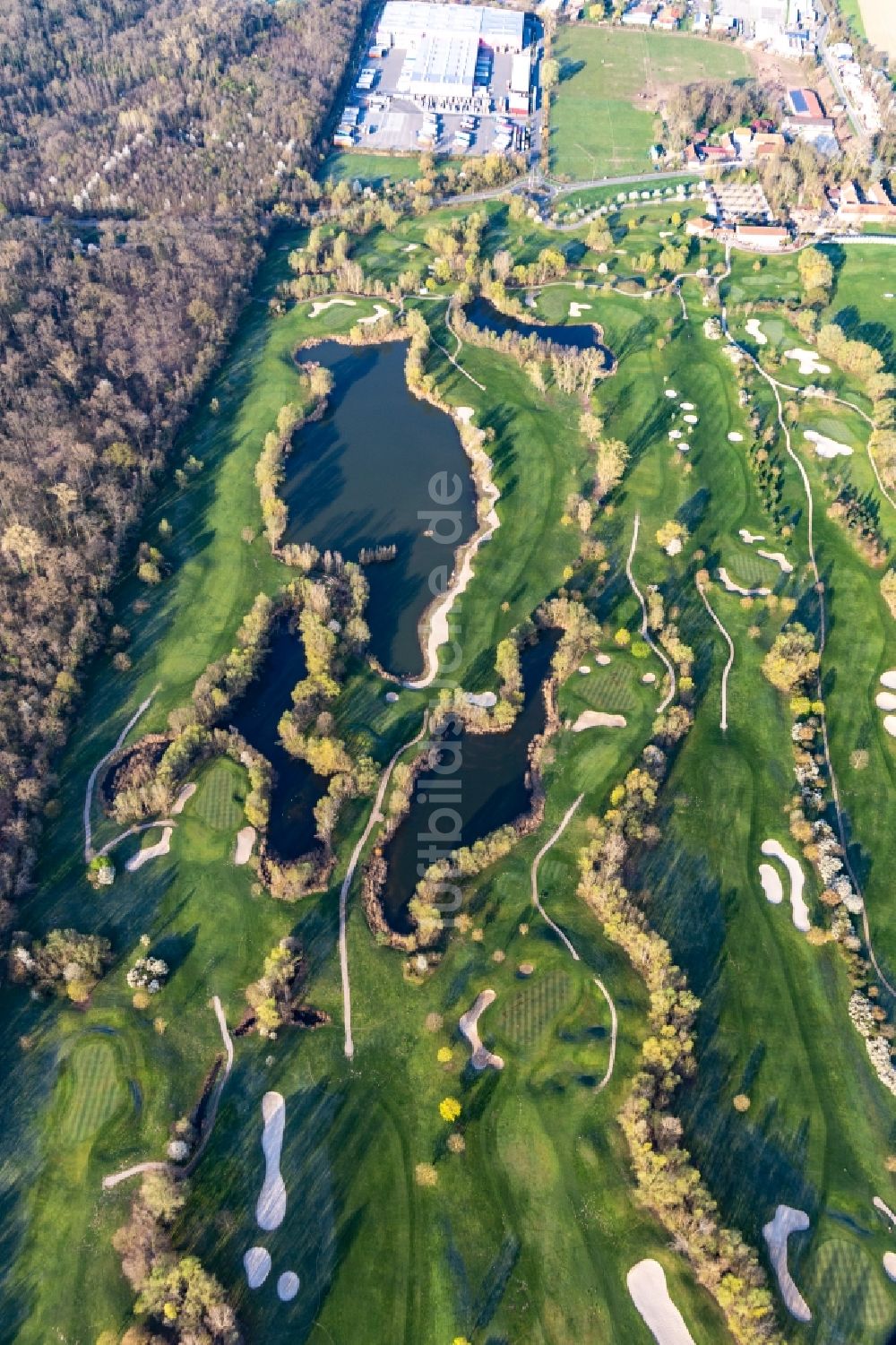 Luftaufnahme Essingen - Blühende Bäume im Frühjahr auf der Golfanlage Landgut Dreihof - GOLF absolute in Essingen im Bundesland Rheinland-Pfalz