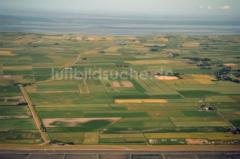 Luftbild Pellworm - Blick über die Insel Pellworm
