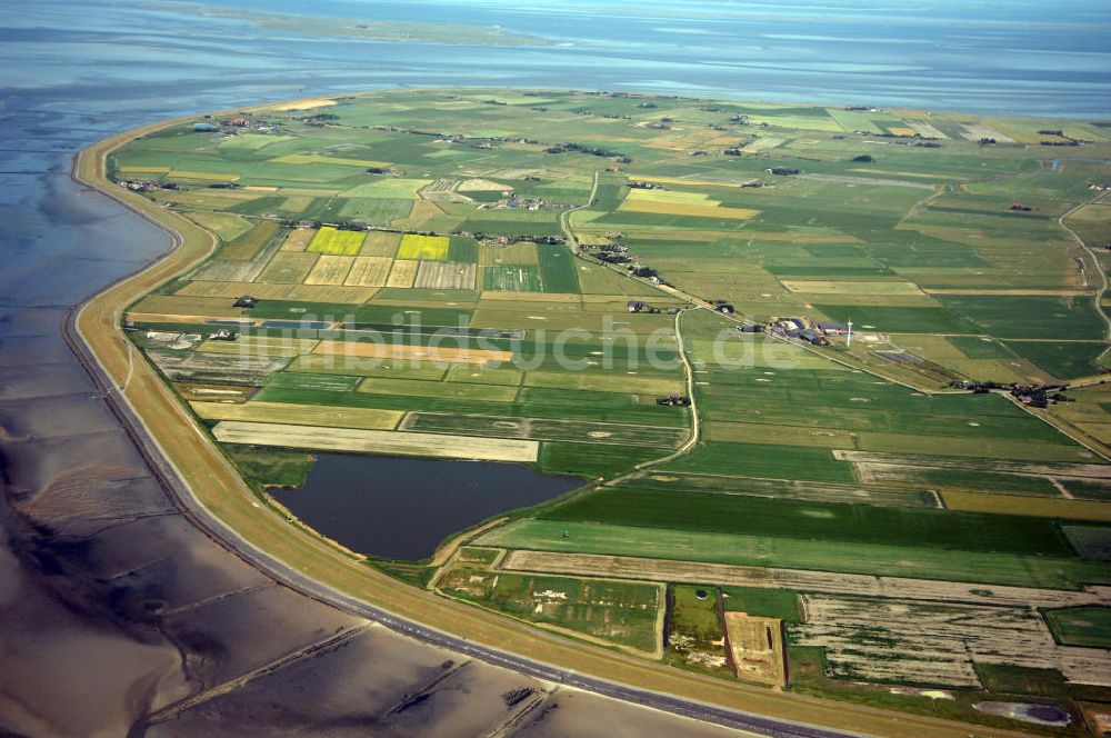 Luftaufnahme Pellworm - Blick über den Süden der Insel Pellworm