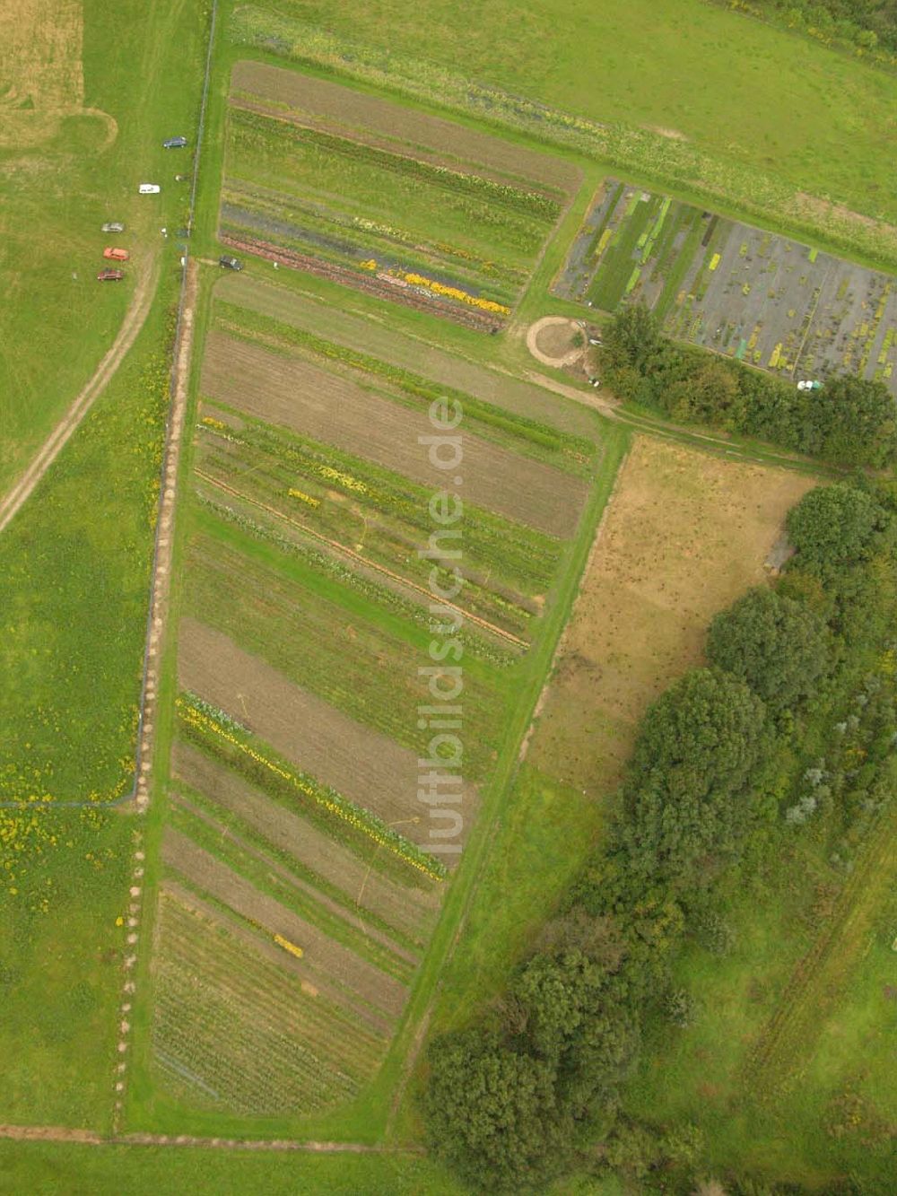 Pirna (Sachsen) aus der Vogelperspektive: Blick auf den Gartenbaubetrieb am Flugplatz Pirna