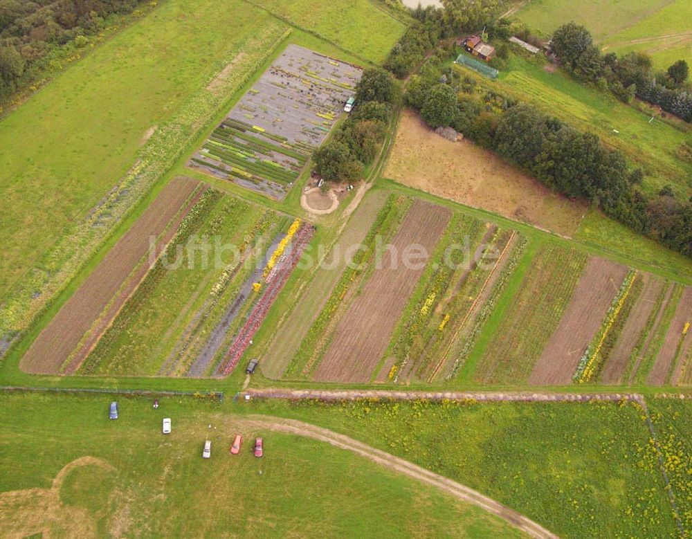 Luftbild Pirna (Sachsen) - Blick auf den Gartenbaubetrieb am Flugplatz Pirna