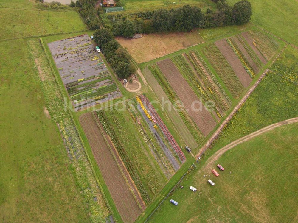 Luftaufnahme Pirna (Sachsen) - Blick auf den Gartenbaubetrieb am Flugplatz Pirna