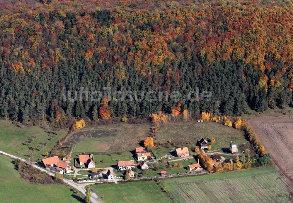 Luftbild Hohenfelden - Blick auf herbstlich gefärbte Bäume des Waldes am Freilichtmuseum Hohenfelden bei Hohenfelden in Thüringen