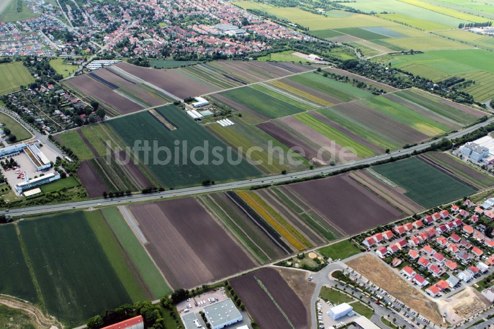 Luftaufnahme Erfurt - Blumenfelder in Erfurt im Bundesland Thüringen