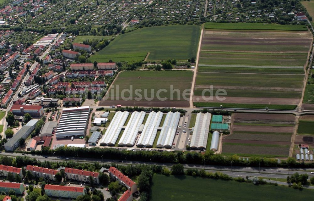 Luftaufnahme Erfurt - Blumenfelder in Erfurt im Bundesland Thüringen