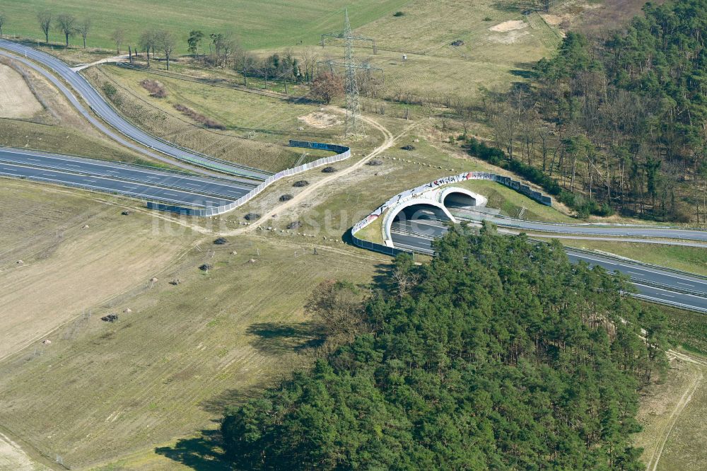 Luftbild Thyrow - Brückenbauwerk einer als Grünbrücke angelegten Wildbrücke - Wildwechselbrücke in Thyrow im Bundesland Brandenburg, Deutschland