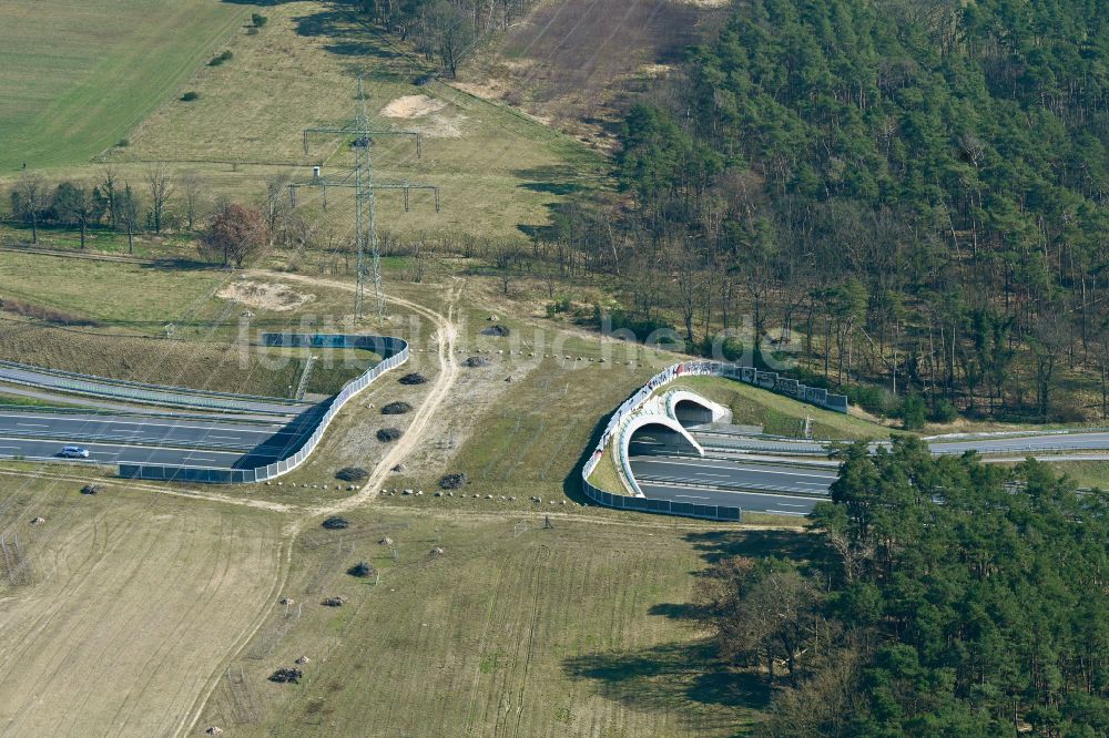 Luftaufnahme Thyrow - Brückenbauwerk einer als Grünbrücke angelegten Wildbrücke - Wildwechselbrücke in Thyrow im Bundesland Brandenburg, Deutschland