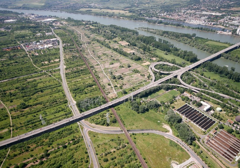 Mainz Mombach von oben - Brückenbauwerk Schiersteiner Brücke an der Autobahn BAB 643 bei Mainz Mombach im Bundesland Rheinland-Pfalz